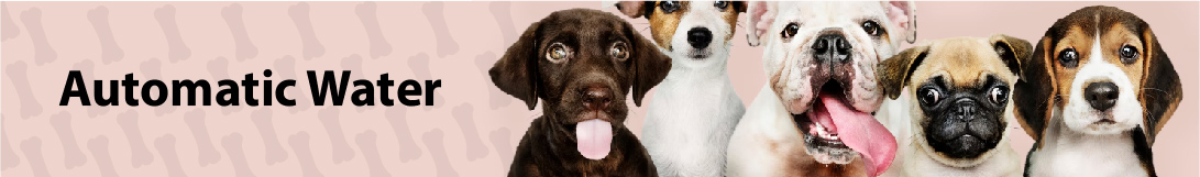 dog banner image